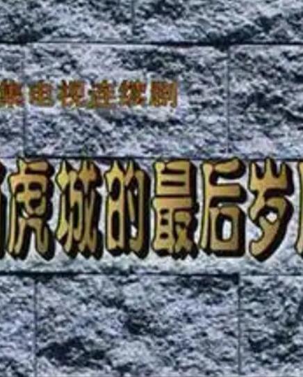 杨虎城的最后岁月(全集)