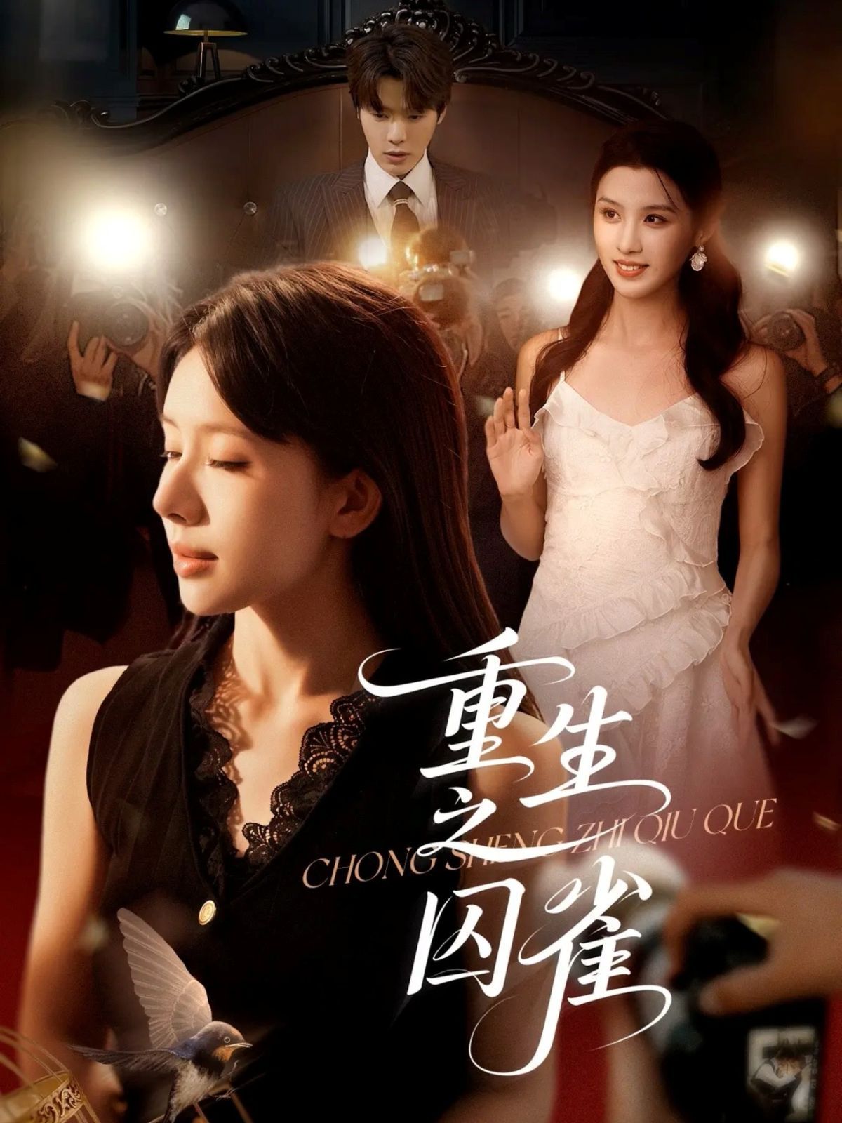 重生之囚雀第53集